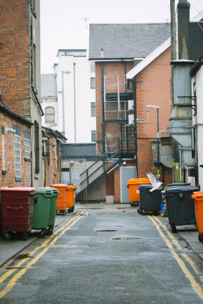 istock Rubbish container on the street 952923450