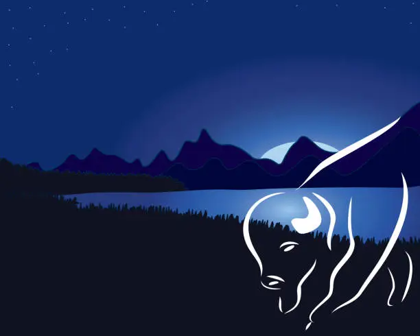 Vector illustration of American buffalo night time illustration with mountain range in the background