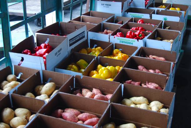Fruit and flower market in Lancaster County, Pennsylvania