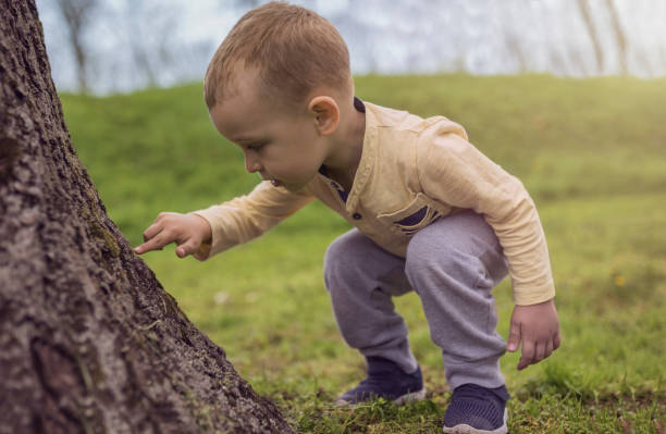 istock Adorable little boy having fun on playground 952947000
