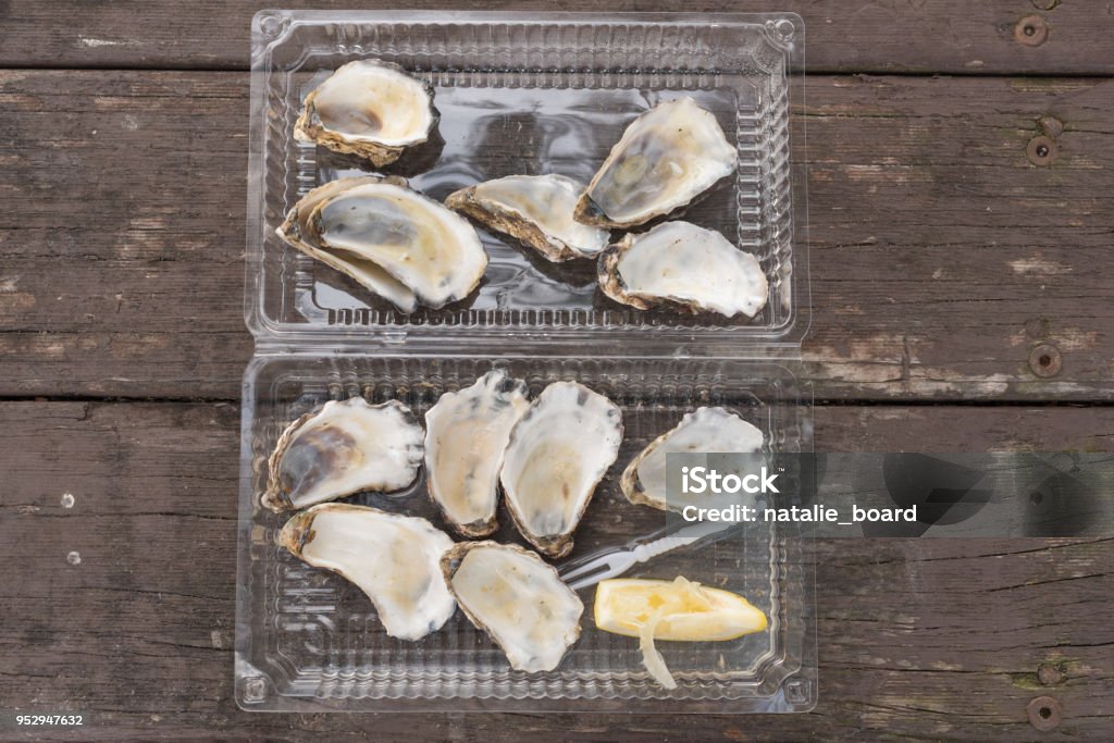 Plastic Empty Shell Sample Empty Oyster Shells In Plastic Container From Above Stock Photo ...