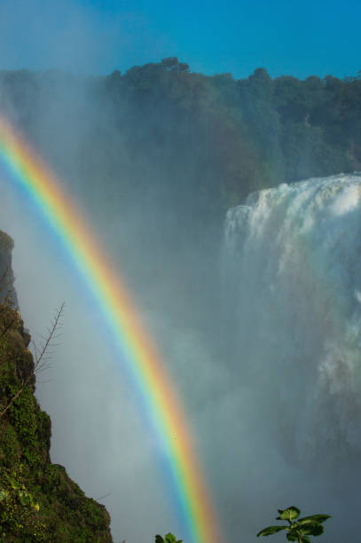 빅토리아 폭포 쌍 역동적인 무지개 - victoria falls victoria falls town flood africa 뉴스 사진 이미지