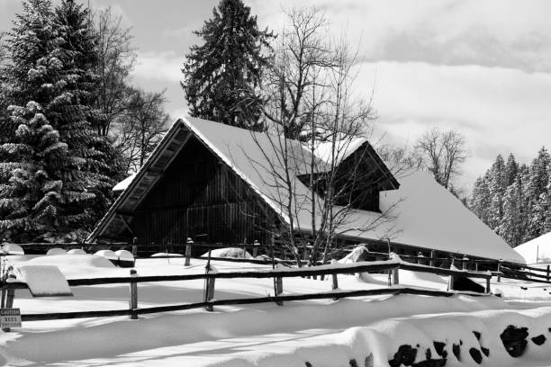 Swiss , Alps , Switzerland , House , Snow , Winter
