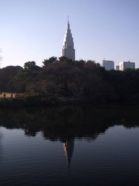 shinjuku - japanese maple leaf water japan zdjęcia i obrazy z banku zdjęć