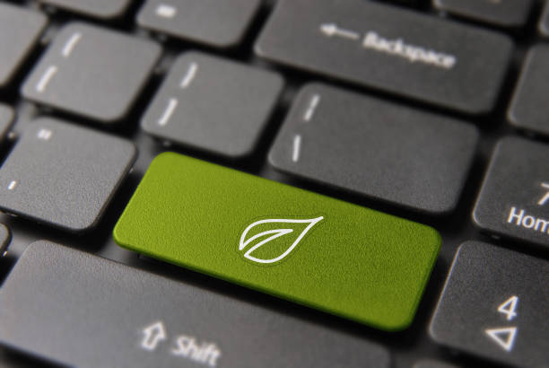 Green energy computer key concept for nature help Green energy button on computer keyboard for environment help and conservation awareness concept. Laptop key with modern tree leaf line art icon. sustainable lifestyle stock pictures, royalty-free photos & images