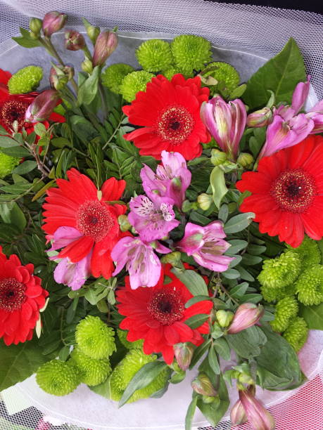 istock Colorful flowers bouquet 952961450
