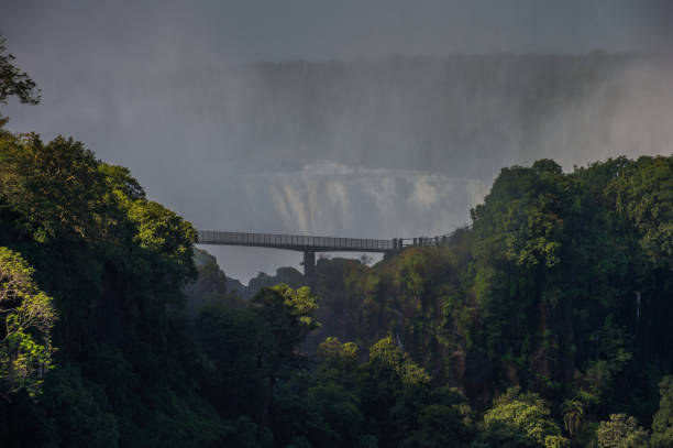 칼 지 도교 레일 다리에서 사람이 - victoria falls victoria falls town flood africa 뉴스 사진 이미지