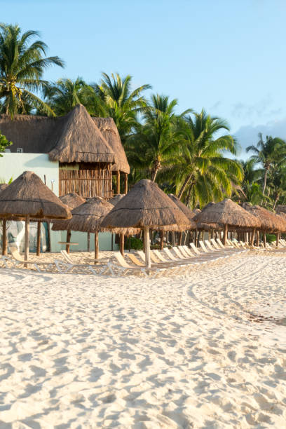 istock Beautiful beach with sunbathing lounge 952962064