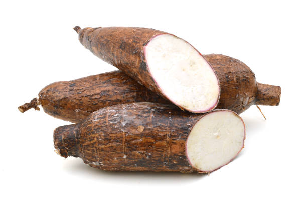 istock Yuca cassava roots, isolated on white 952966754
