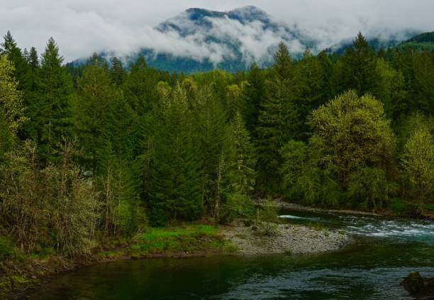 istock Elkhorn Mountain Natural Mystic 952969682