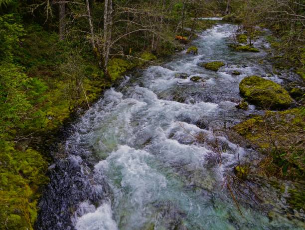 istock Battle Ax Creek Wild 952969684