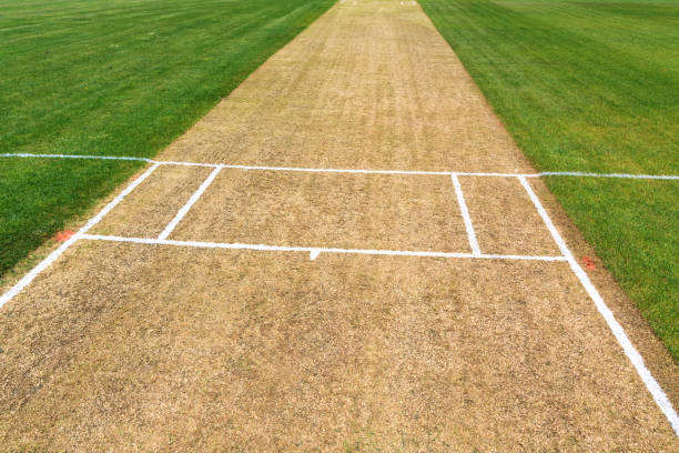 istock Cricket pitch sport field 952970390