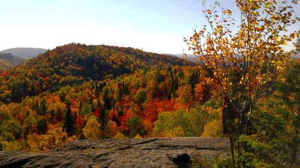 istock Top of mountain hiking at Fall in Canada 952981104