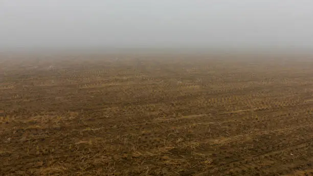 Photo of Fields enveloped in autumn fog