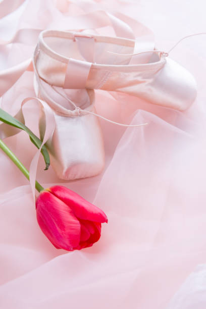 istock Ballet shoes and tulips 952987096