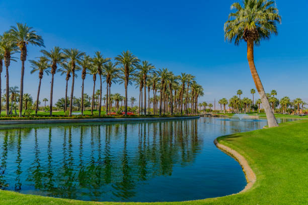 Springtime at Palm Springs California leisure time;  funtime; vacation destination; Palm Springs green belt, Palm Springs lifestyle palm desert pool stock pictures, royalty-free photos & images