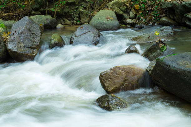 istock Water flowing along the river 952995540