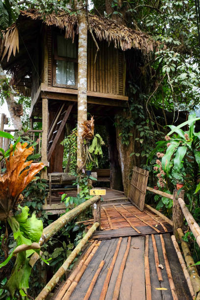 istock Wooden tree house in the forest 952995738