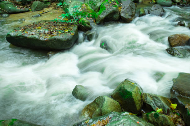 istock Water flowing along the river 952995760