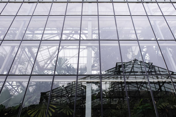 istock Glass house with evergreen inside 952995820