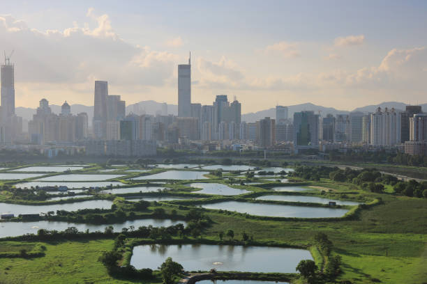 istock China's Shenzhen city from hong kong view 952996260