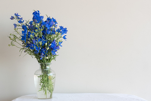Delphiniums in glass vase on white table with tablecloth against neutral wall background (selective focus)
