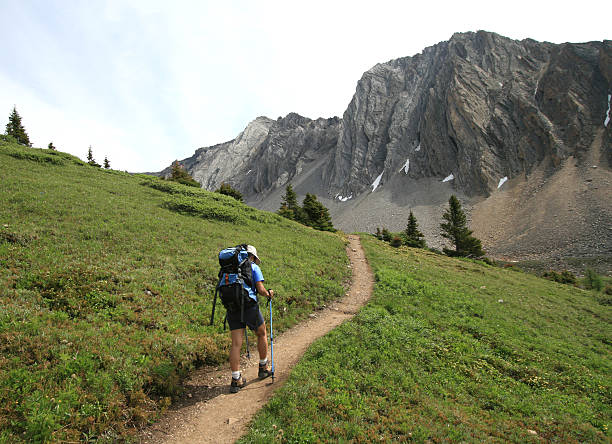 istock Hiking Towards Mount Arethusa 95301038