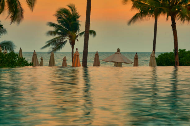 istock The beach front view with water pool ,umbrella and coconut tree on orange blue sky background 953010554