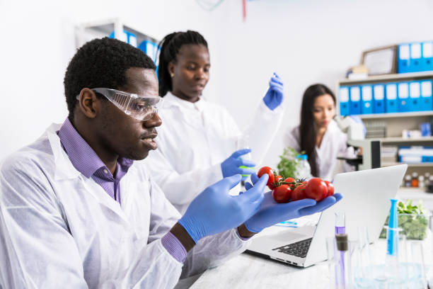 лаборанты проверяют качество овощей - genetic research men chemical protective glove стоковые фото и изображения