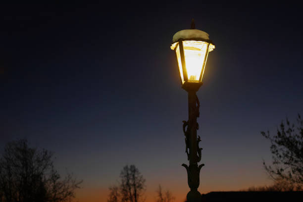 istock lamp pole covered with snow cap in a park against dark evening sky 953015534
