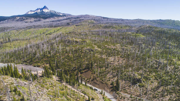 istock Highway winding through Pacific Northwest Forest with mountain in the background 953018142