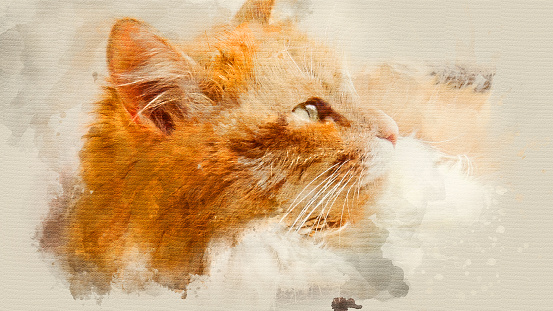 Hand-drawn illustration of a cat