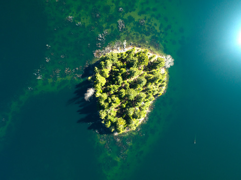 Pacific Northwest Evergreen Tree Island From Above Calm Water