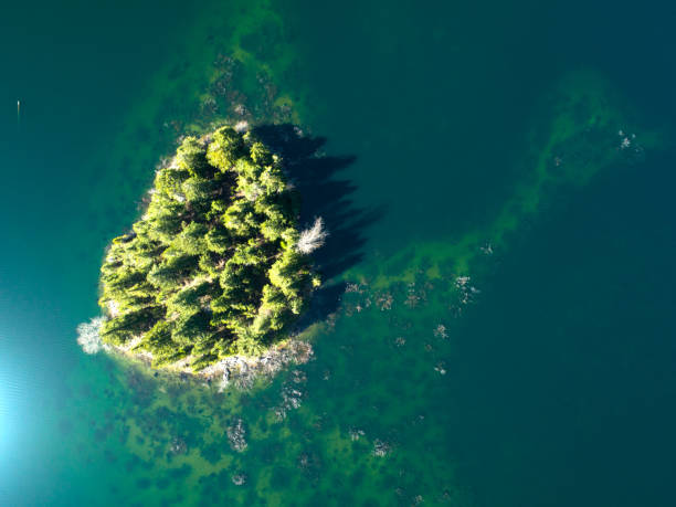 istock Island Paradise From Above Green Water Trees 953023548