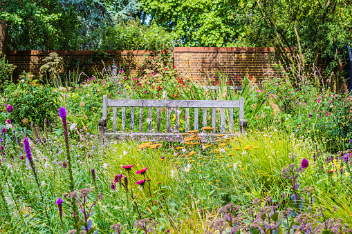 Jardín inglés con flores silvestres y Banco de madera photo