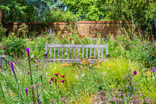 giardino inglese con panca in legno e fiori selvatici - giardino foto e immagini stock