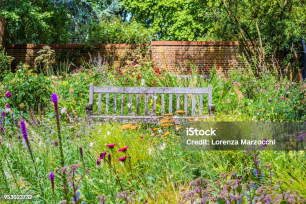 English Garden With Wooden Bench And Wildflowers Stock Photo - Download Image Now - Formal Garden, Wildflower, Uncultivated