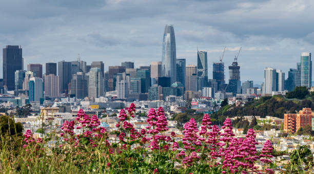 istock Springtime in San Francisco with flowers blooming 953023960