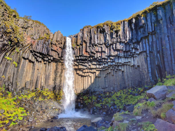 冰島 vatnajökull 國家公園 svartifoss 瀑布 - skaftafell national park 個照片及圖片檔