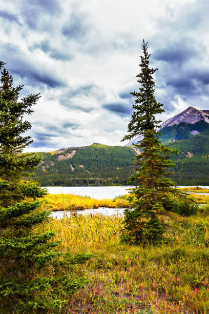 istock Concept of active tourism 953041128
