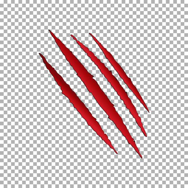 illustrazioni stock, clip art, cartoni animati e icone di tendenza di claw scratch vector, graffio artiglio animale - biscotto bear claw immagine