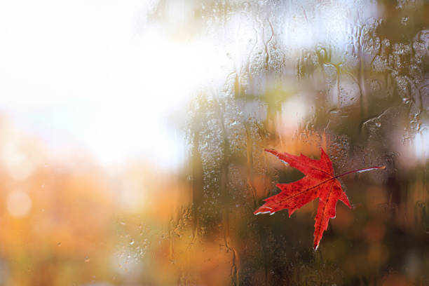 istock autumn weather outside the window 953053232