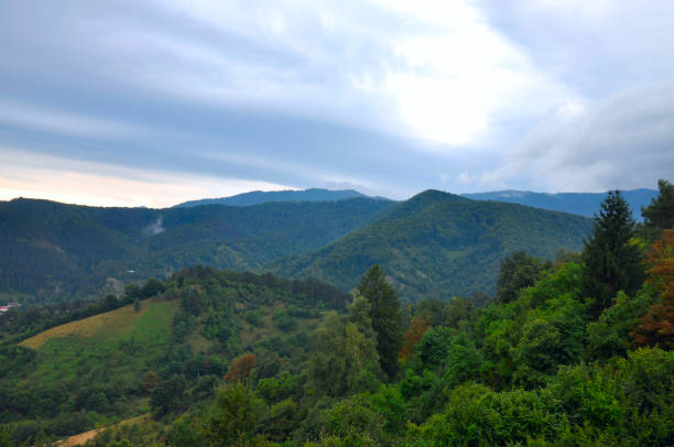 istock Carpathian mountains in summer 953056234