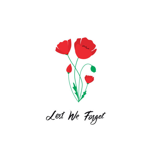 Anzac Day vector banner. Red Poppy flower illustration and lettering - Lest We forget.  Symbol of International Day of Remembrance. Poppy for Armistice day. Anzac Day vector banner. Red Poppy flower illustration and lettering - Lest We forget.  Symbol of International Day of Remembrance. Poppy for Armistice day. red poppy stock illustrations