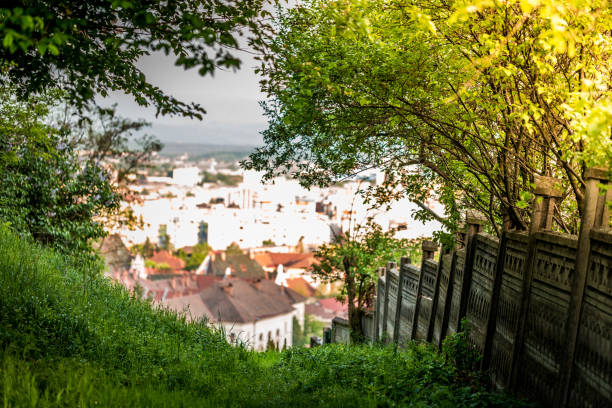 Color image depicting a lush green tree tunnel, made more vibrant with the sun coming through the leaves, with the buildings of a town defocused down below. Room for copy space.