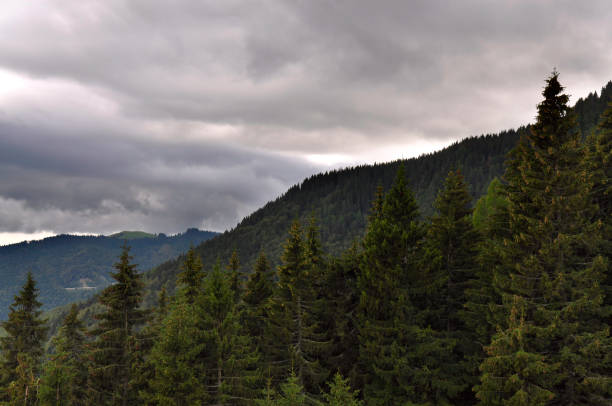 istock Mountains with trees with gray rainy clouds 953056928
