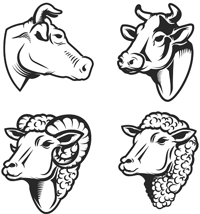 Set of cow and sheep heads on white background. Design element for  label, emblem, sign. Vector image