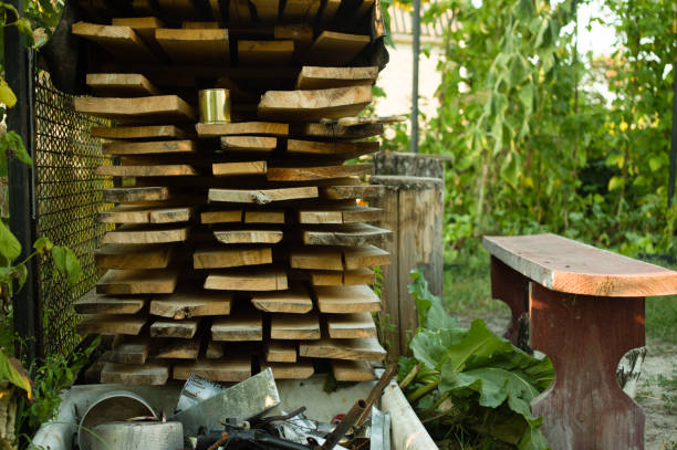 istock Wood, scrap, and a bench in a backyard 953057688