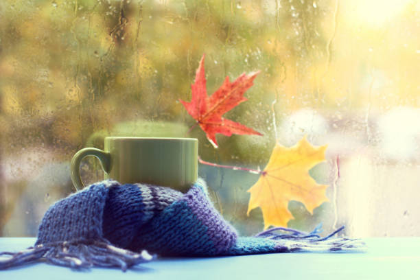 istock hot drinks in an autumn style 953061346