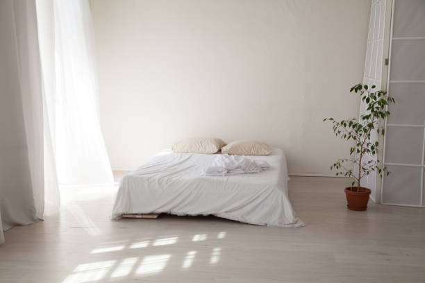 istock bedroom with a white bed and green plant 953071230